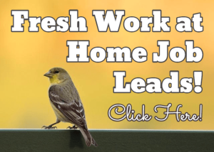 workathomemomrevolution.com