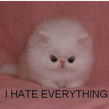 tVlpVxK.png