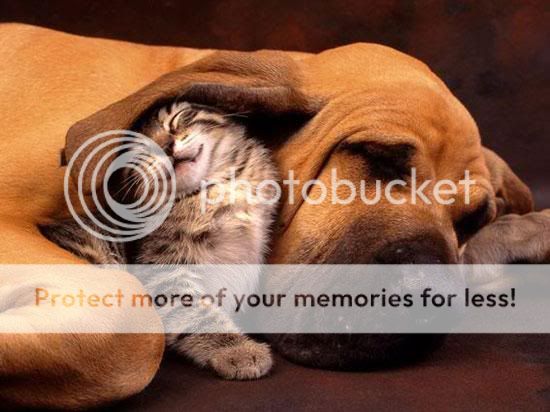 awww.jpg