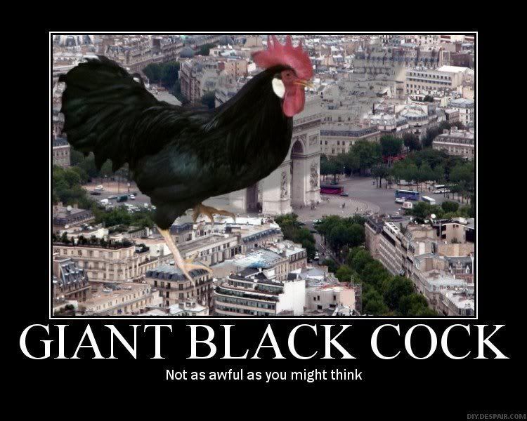giant-black-rooster.jpg