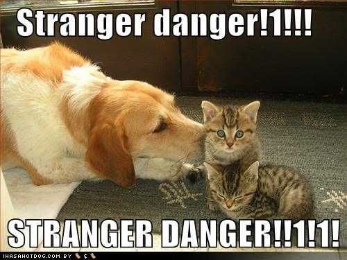 funny-dog-pictures-stranger-danger.jpg