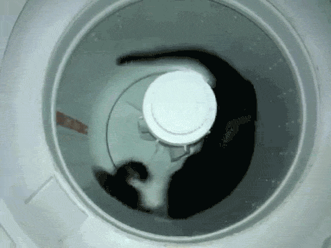tumblr_n7xnoy3jHU1rw1wnno1_500.gif