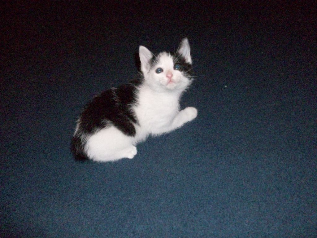 100_1255.jpg