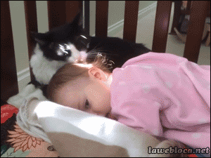 tumblr_n0ede3m9TT1so0ukuo1_400.gif