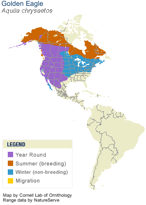 aqui_chry_AllAm_map.gif