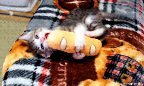 1UOEa.gif