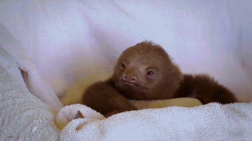 w02k3.gif