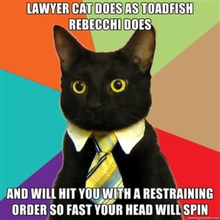 LAWYERCAT-1.jpg