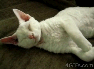 tumblr_mo7kosiKDj1qdlh1io1_400.gif