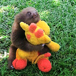 tumblr_m64zqsXNXa1qbtlcco5_r1_250.gif