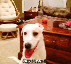 tumblr_n4ar9t2eWa1qhccx4o1_250.gif