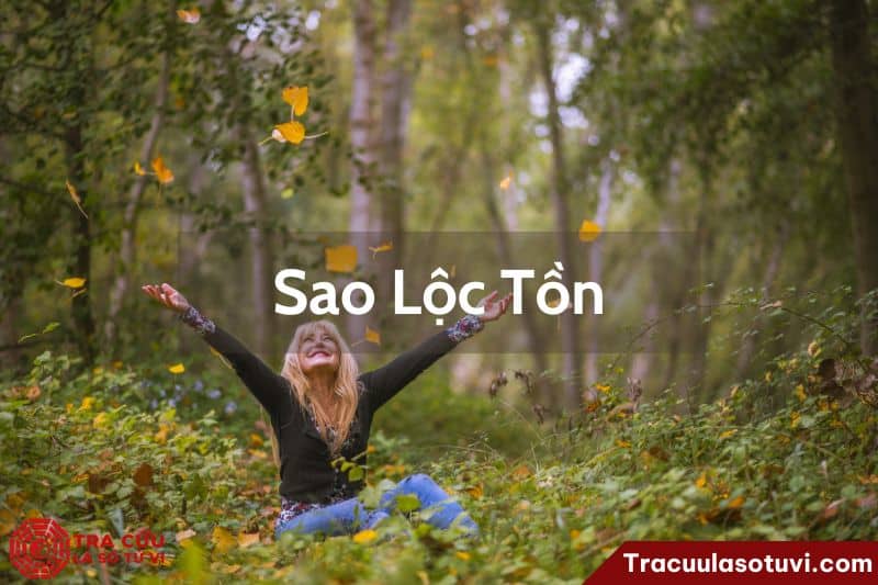 Sao Lộc Tồn là quý tinh chủ về quyền tước, bổng lộc.