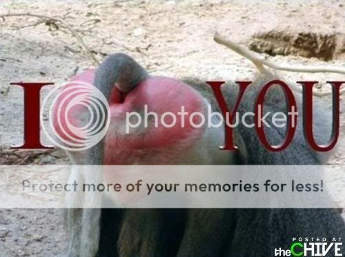hate-valentines-day-24.jpg