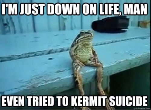 tumblr_m37tfuDWav1r0wqrdo1_r1_500.jpg