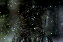 tumblr_mti5glEzeO1sh9h80o5_250.gif
