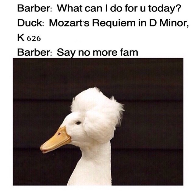 6rbtzpd.jpg