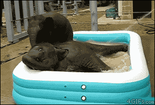 W0zS2.gif
