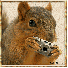 ZsWNcTv.gif