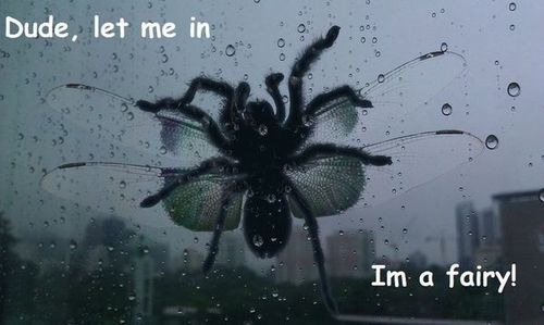 tumblr_mex6g9u1BT1ql2603o1_500.jpg