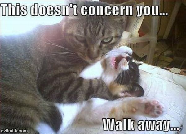 This_Doesnt_Concern_You.jpg