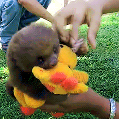 tumblr_m64zqsXNXa1qbtlcco2_250.gif