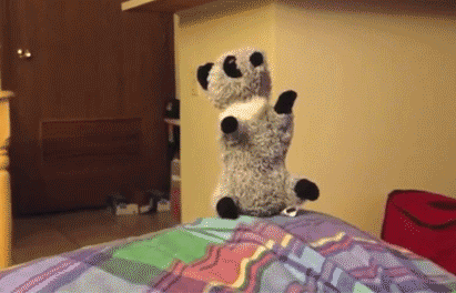 FELr436.gif