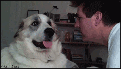 lOhT5.gif