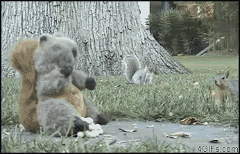 Xnlsy.gif