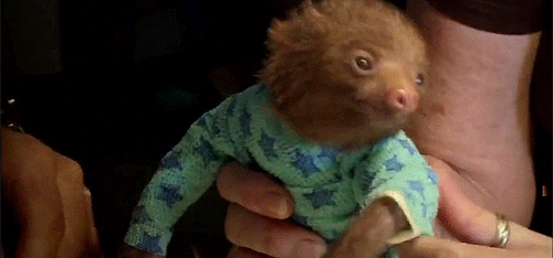 tumblr_meho7xQtIE1rwyv1mo1_500.gif