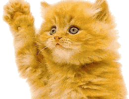 uOKzcS0.gif