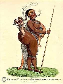 HottentotVenus1810www.westminister.go.uk.jpg