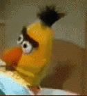 bert.gif