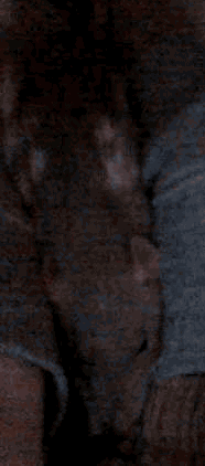 N8ib3kv.gif
