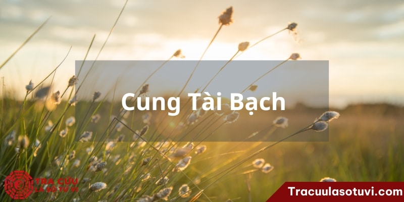 Cung Tài Bạch