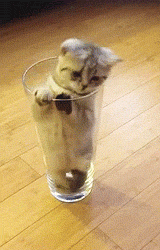 6IN6liw.gif