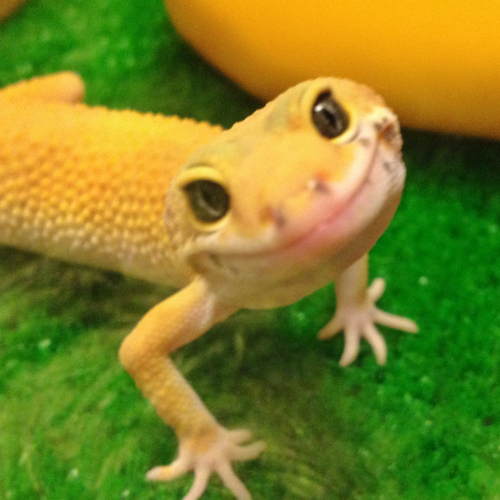q0I8L.png