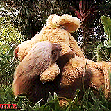 tumblr_mew7q4ML8Z1rrk62ro6_250.gif