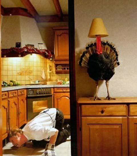 turkey1.jpg