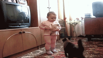 tumblr_moej6bBmMt1r3gb3zo1_400.gif