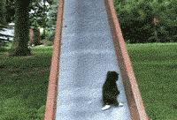 Wcyvj.gif