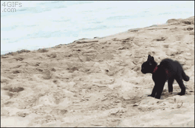 tumblr_n3n3qmjMgl1qdlh1io1_400.gif