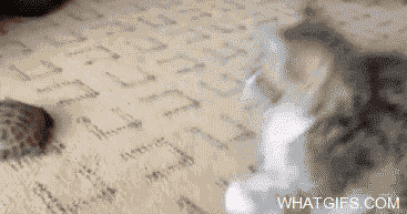ByAAg.gif