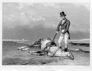 ol7hg15.gif