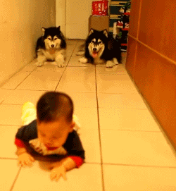 tumblr_munq572hF21s96utdo1_250.gif