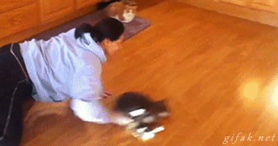 tumblr_n13b8b0hAj1s2yegdo1_400.gif