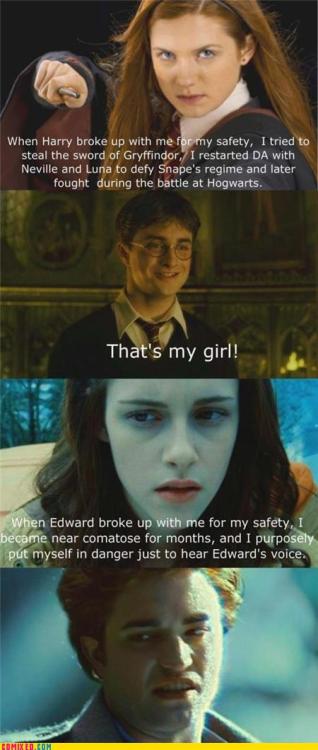 tumblr_luvwhnY5ka1qmt5mvo1_500.jpg
