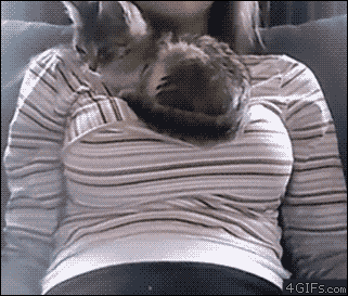 5xCcmoJ.gif