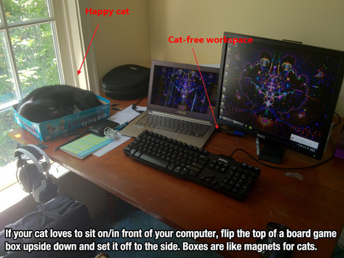 SA1dK.jpg