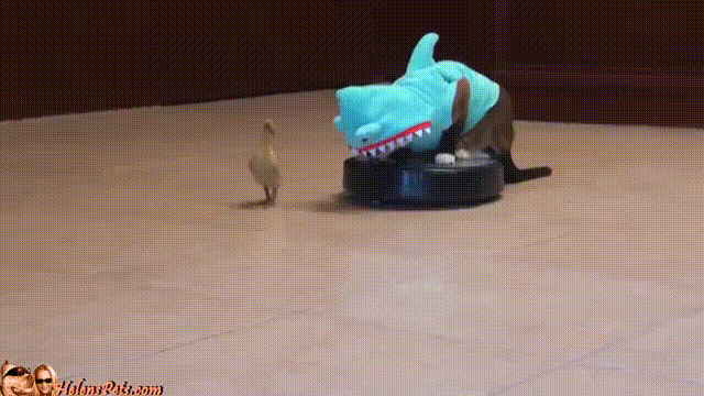 NHy9Gf5.gif