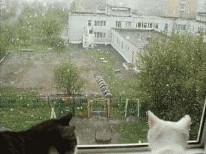 tumblr_mtkc1vcJhl1shdnk4o1_400.gif